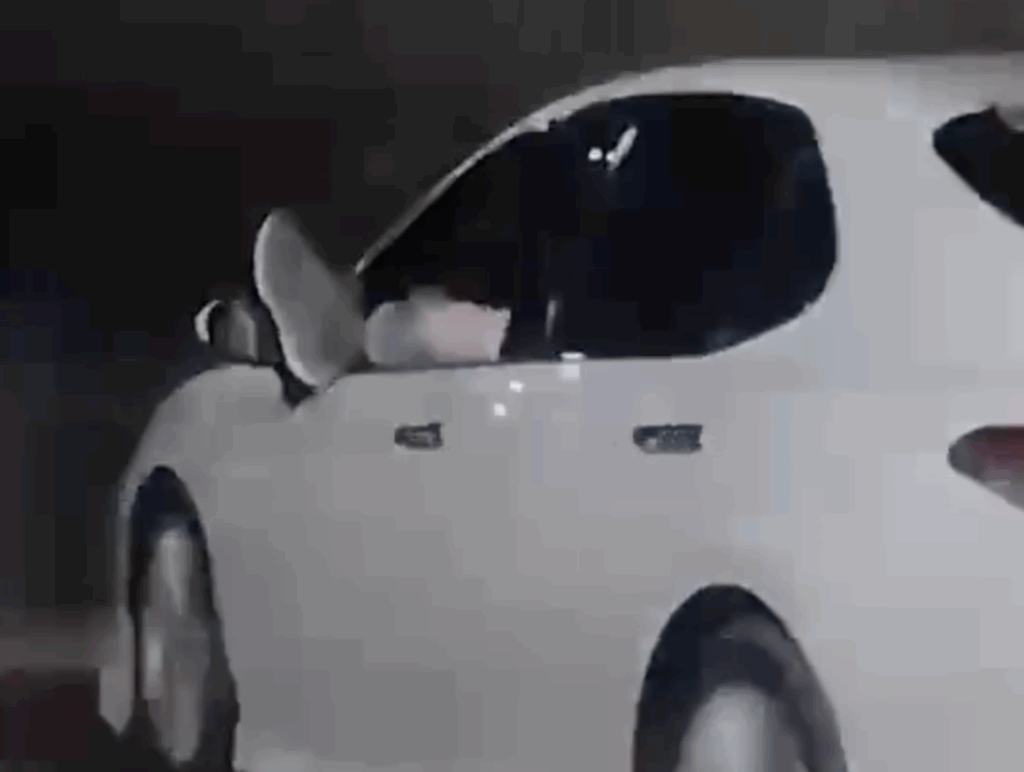 Sorry! Image not available at this time