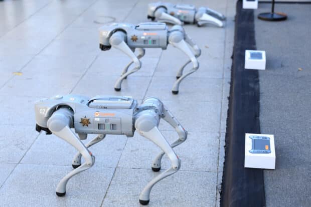 Robot dogs to help Mexican police at 2026 World Cup