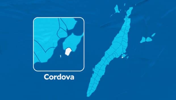 Smuggled cigarettes worth P130K seized in Cordova, Cebu