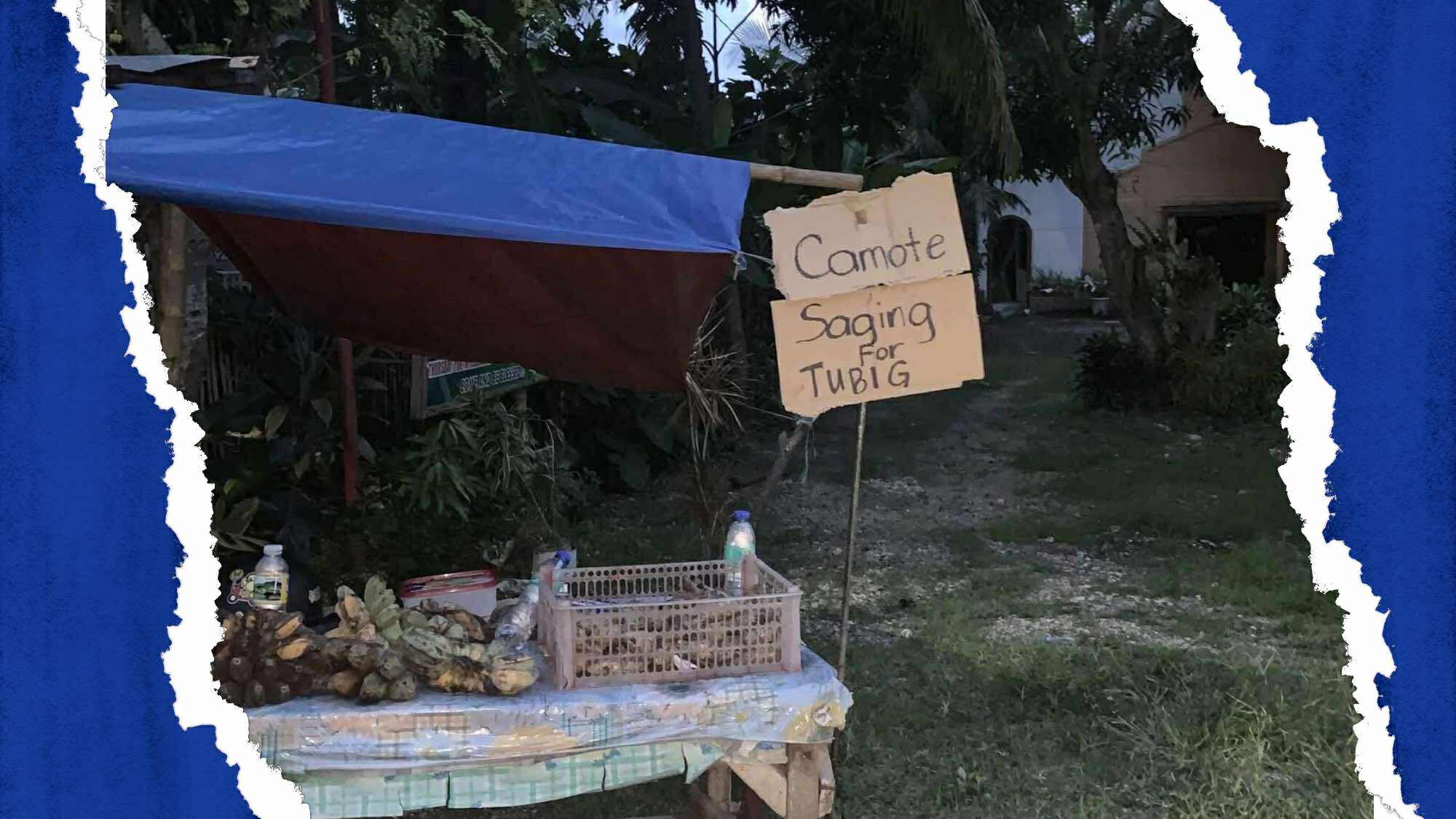 Cebu earthquake victims to trade banana and sweet potato for drinking water