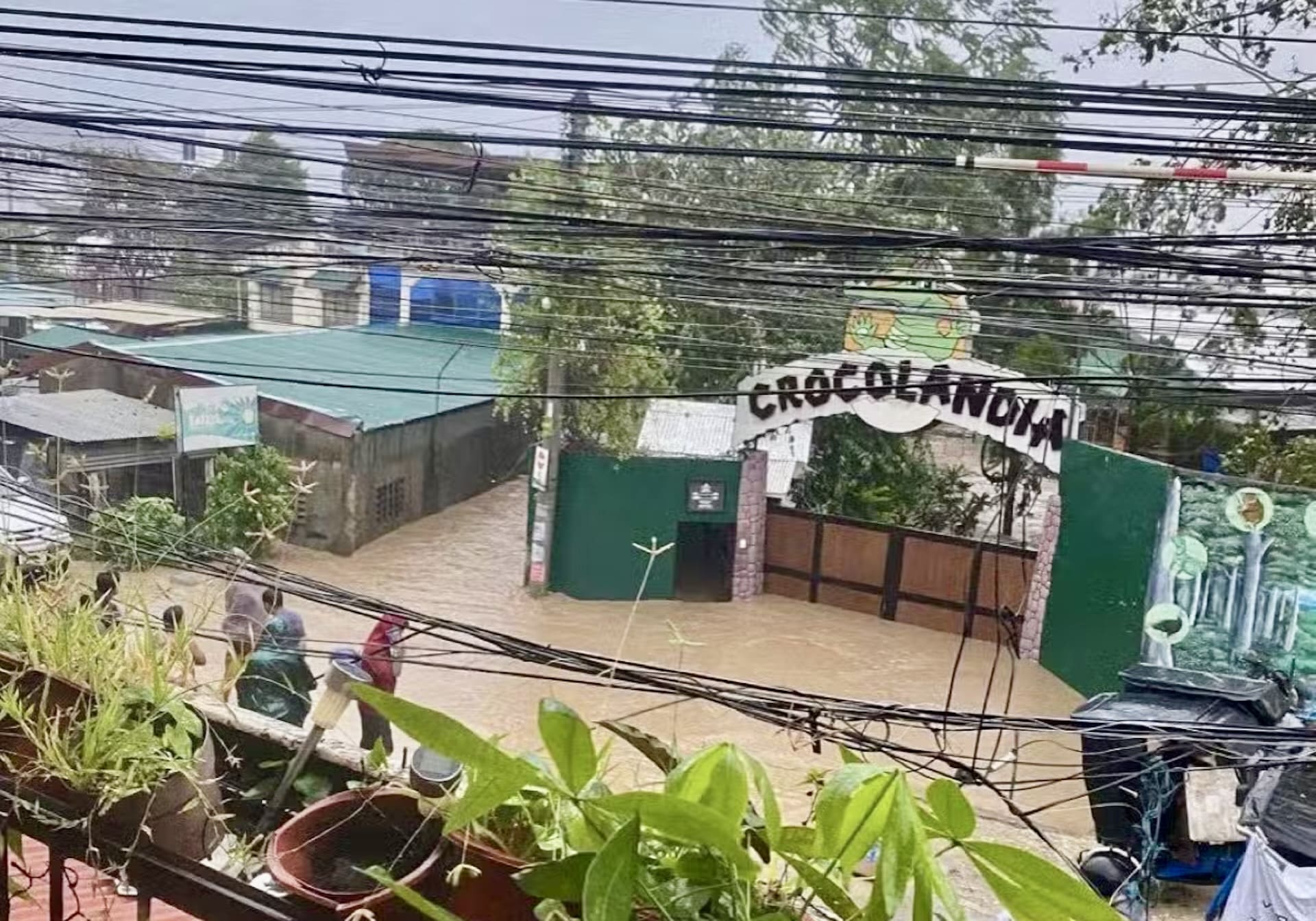 No crocodile escape confirmed in Talisay City wildlife park after Tino